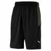 PUMA Energy Knit Mesh 11" Short Laufshort Herren Hose 516938 01