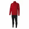 Puma TeamGOAL Tracksuit Core Herren Trainingsanzug 656808 01 Sportanzug